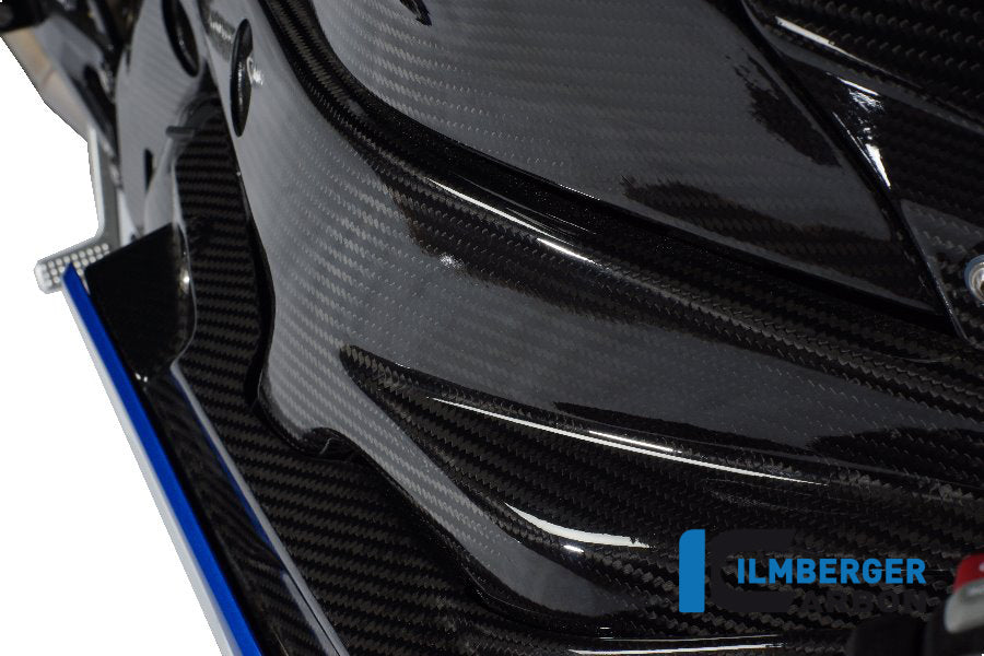 Right frame cover BMW S 1000 RR (2012-2014)