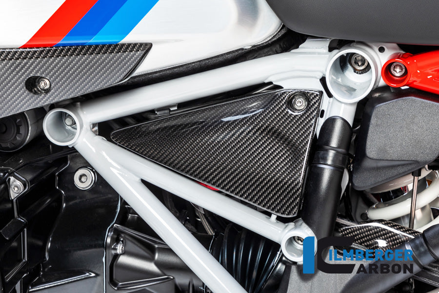 Frame Triangle Cover left Side BMW R 1250 GS / R 1250 R and RS