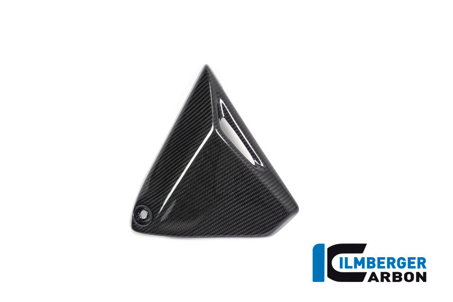 Frame Triangle Cover right Side BMW R 1250 GS / R 1250 R and RS