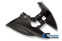 Taillight Cover Carbon