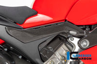 Sub Frame protector right Panigale V4 / V4 S