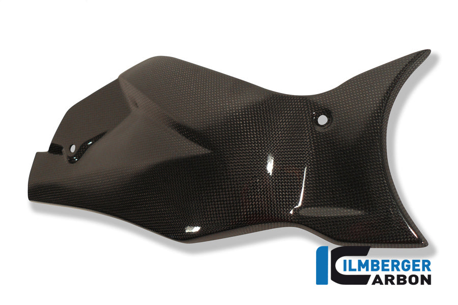 Swingarm Cover / Chain Guard Honda CB 1000 R