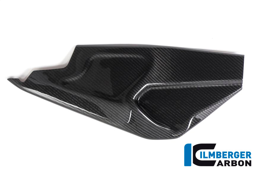 Swing arm cover right side BMW HP4 RACE