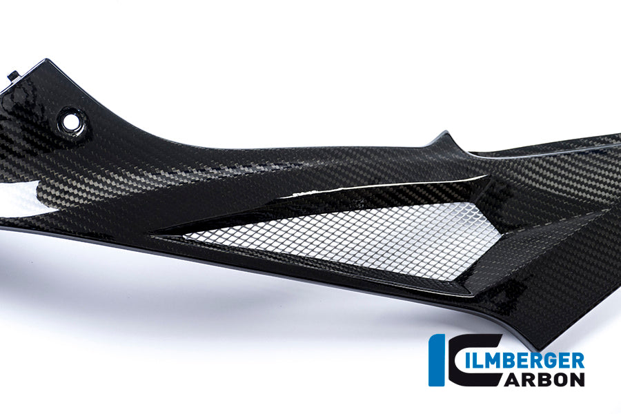 Left side cover on the tank Racing BMW S 1000 RR (ab 2015)