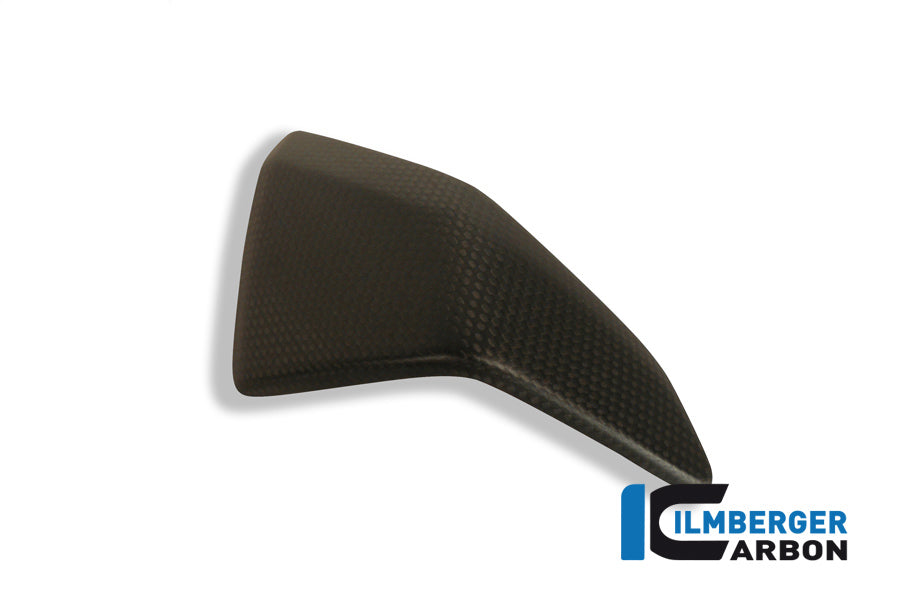 Left side fairing insert Ducati 1199 Panigale Straße