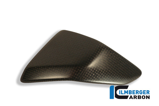 Right side fairing insert carbon