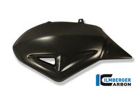 Swingarm Protection Ducati Diavel