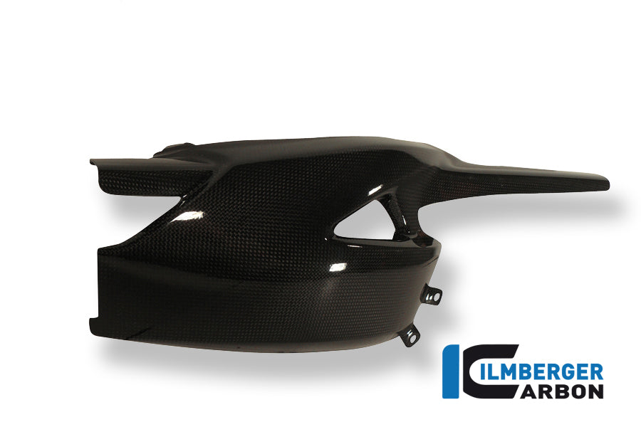 Swingarm Protection Triumph Speed Triple (2011-aktuell)