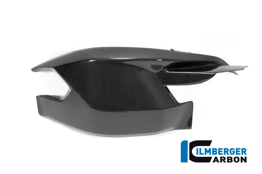 Swingarmcover with upper chain guard Diavel 1260