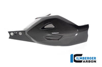 Swing arm cover Ducati Diavel V4 from 2023