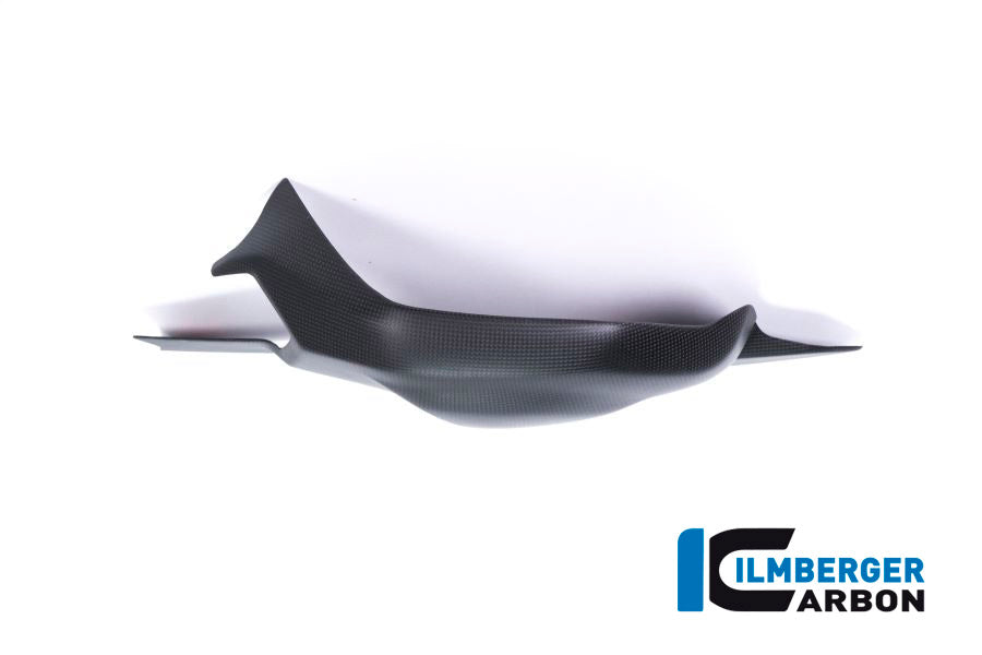 Swing arm cover Panigale V4 / V4 S