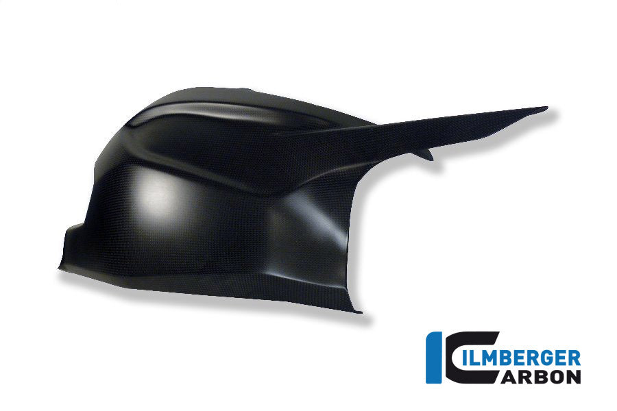 Swingarm / Chain Guard Upper Carbon