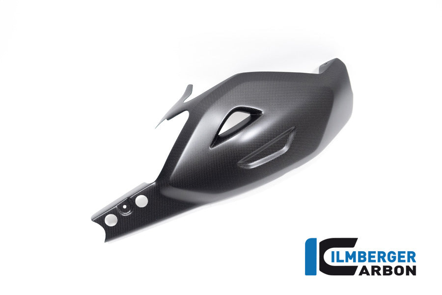 Swing arm cover Ducati Diavel V4 from 2023