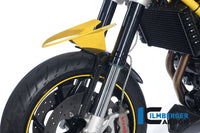Front fender (fork tube cover right and left) Carbon