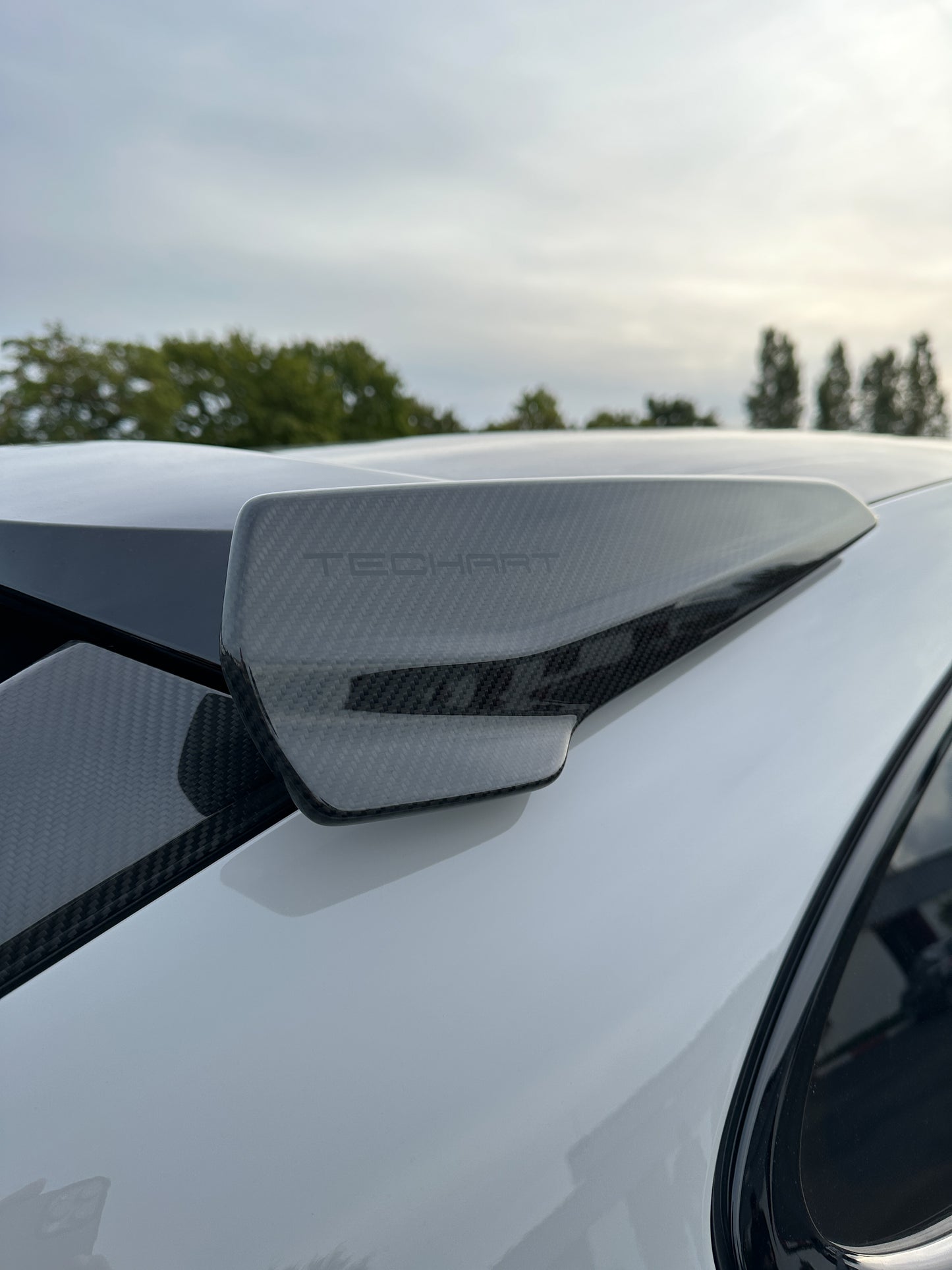 Porsche 9YA Cayenne Coupe from model year 2018 Roof Spoiler End Plates