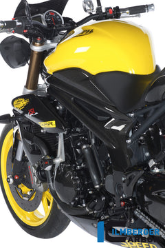 Tank side cover left Triumph Speed Triple (2011-aktuell)