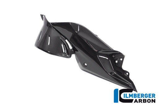 Side Panel under the Tank left BMW R 1250 R