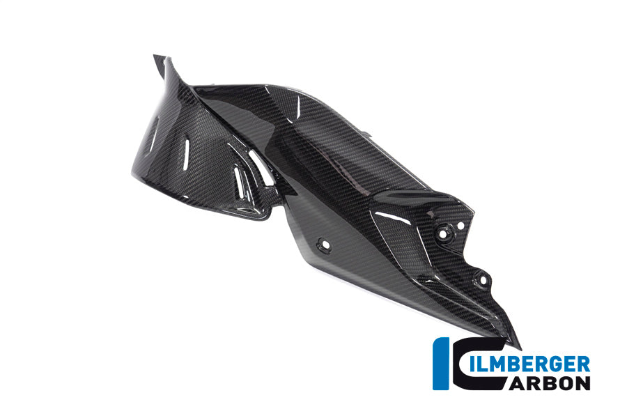 Side Panel under the Tank left BMW R 1250 R BMW R 1250 R ab Bj 2019