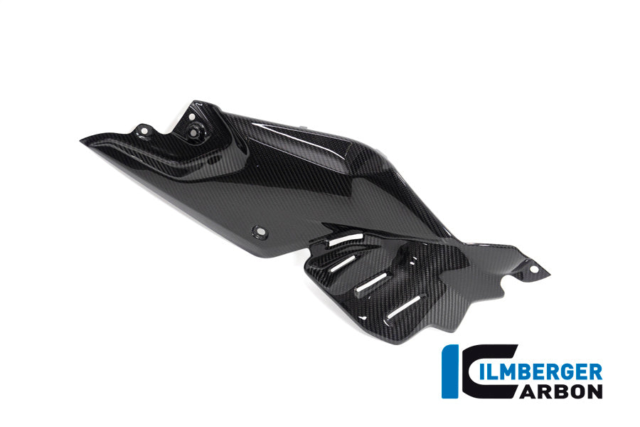 Side Panel under the Tank right BMW R 1250 R BMW R 1250 R ab Bj 2019