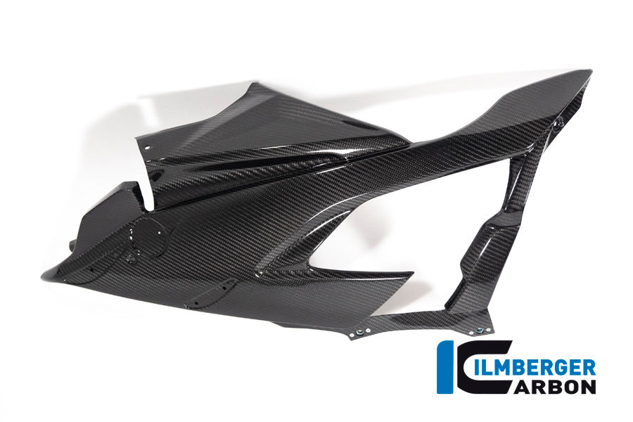 FAIRING SIDE PANEL (LEFT) - BMW M 1000 RR Racing