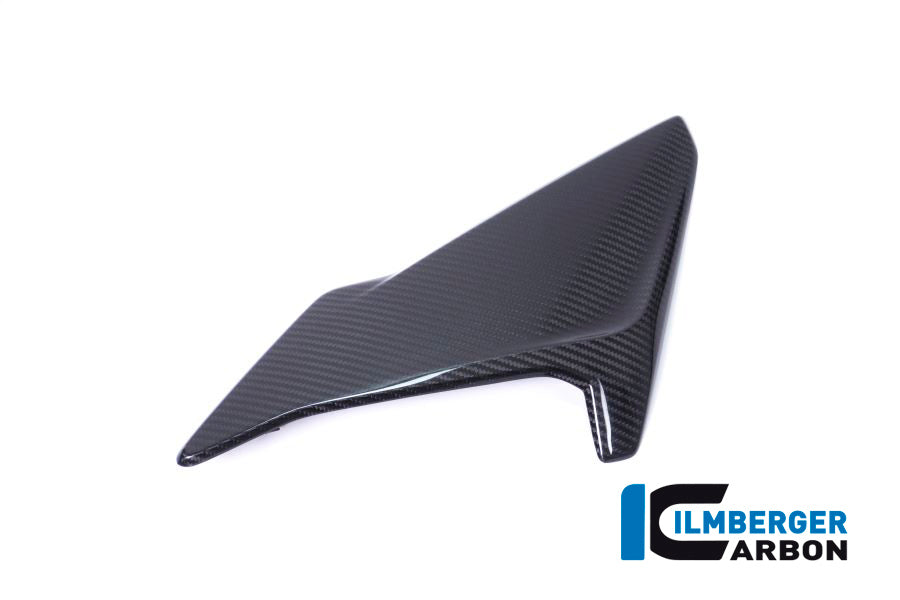 FAIRING SIDE PANEL (LEFT) - BMW S 1000 RR (ab 2017)