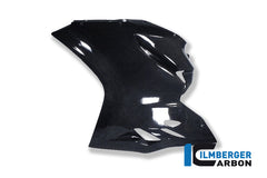 Fairing Side Panel Left Race Ducati 1199 Panigale Racing (2012-2014)