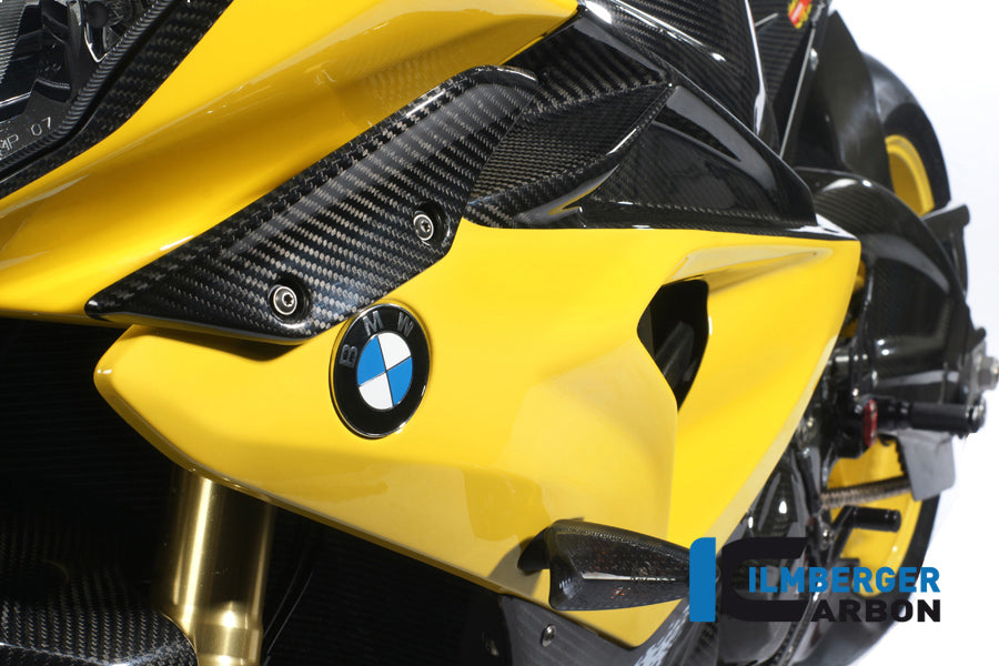 Fairing side panel left S 1000 RR Straße (2012-2014)