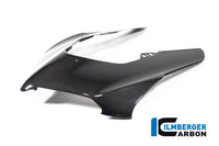 Front fairing Panigale V4R Ducati Panigale V4 R