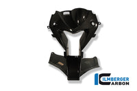 Upper fairing middle part, air intake BMW S 1000 RR Straße (2010-2014)