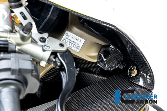 Front fairing Panigale V4R Racing