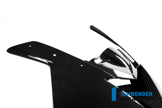 Racing Upper Fairing 1-piece BMW S 1000 RR (ab 2015)