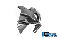 Racing Fairing Upper Part BMW M 1000 RR 2025