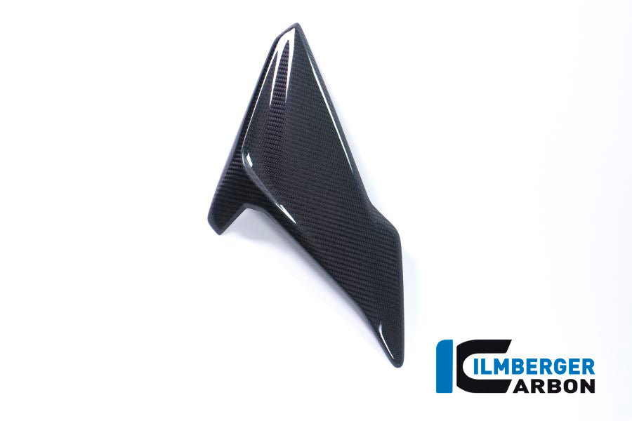 FAIRING SIDE PANEL (RIGHT) - BMW S 1000 RR (ab 2017)