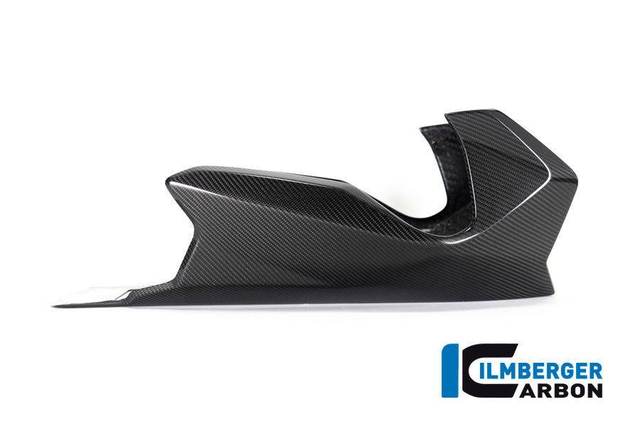 Bellypan BMW R 1250 R (LC) 2019
