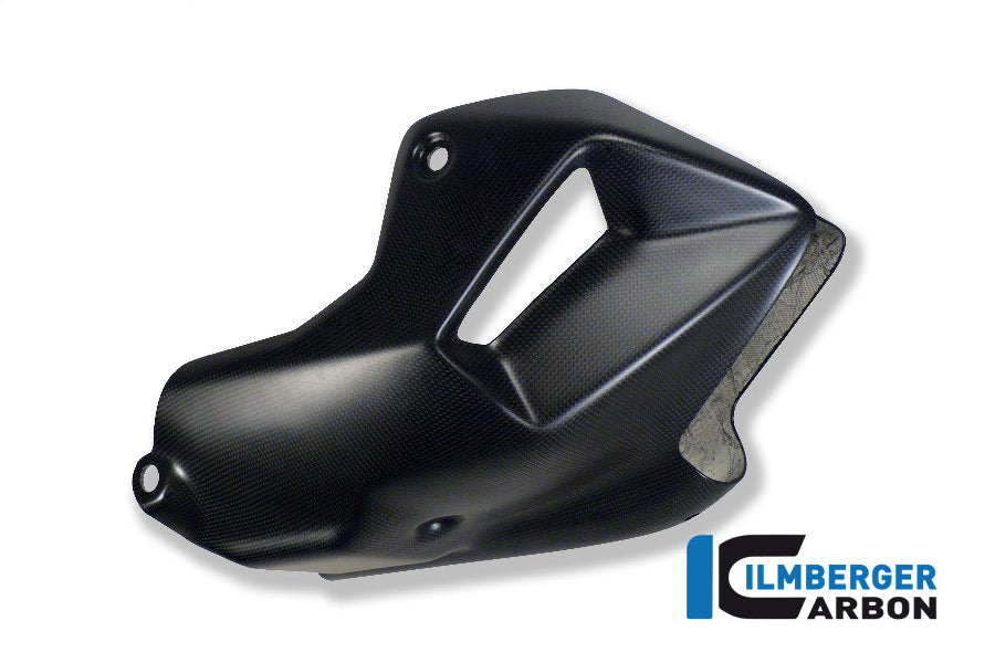 Motor spoiler carbon