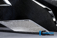 Motor spoiler BMW S 1000 R (ab 2014)