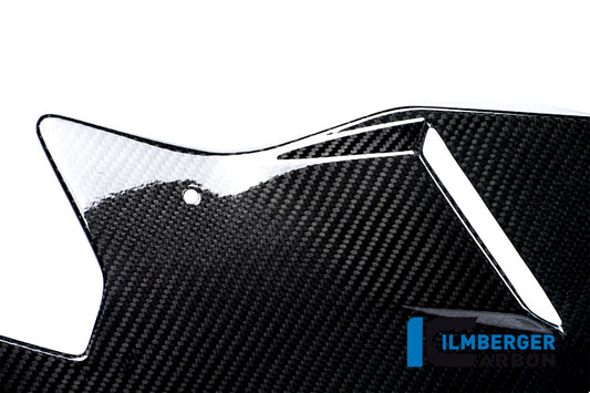Motor spoiler BMW S 1000 R (ab 2014)