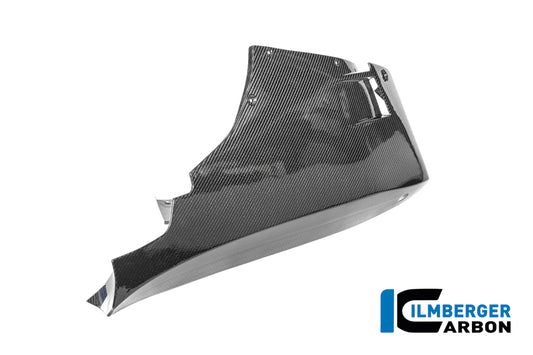Lower Fairing BMW M1000 RR 2025