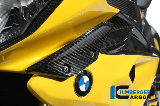 Fairing winglet left BMW S 1000 RR Straße (2012-2014)