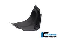 Panel under the front fairing Panigale V4 Racing
