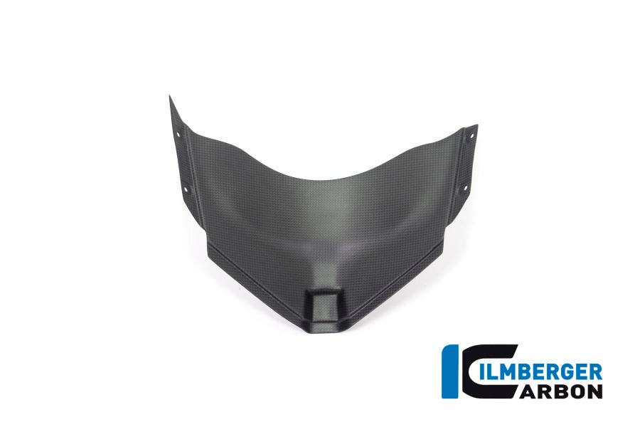 Panel under the front fairing Panigale V4 Racing