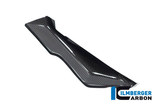 Cover under the Front Fairing right Side BMW R 1250 RS