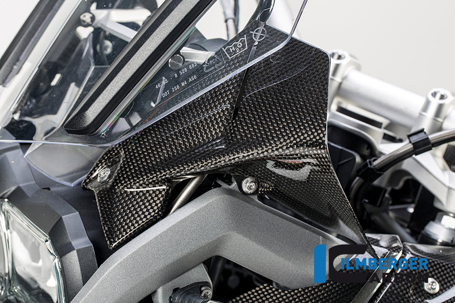 Wind deflector on cockpit left carbon