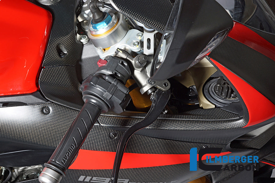 Airtube cover right Ducati Panigale 1299 (from 2015)