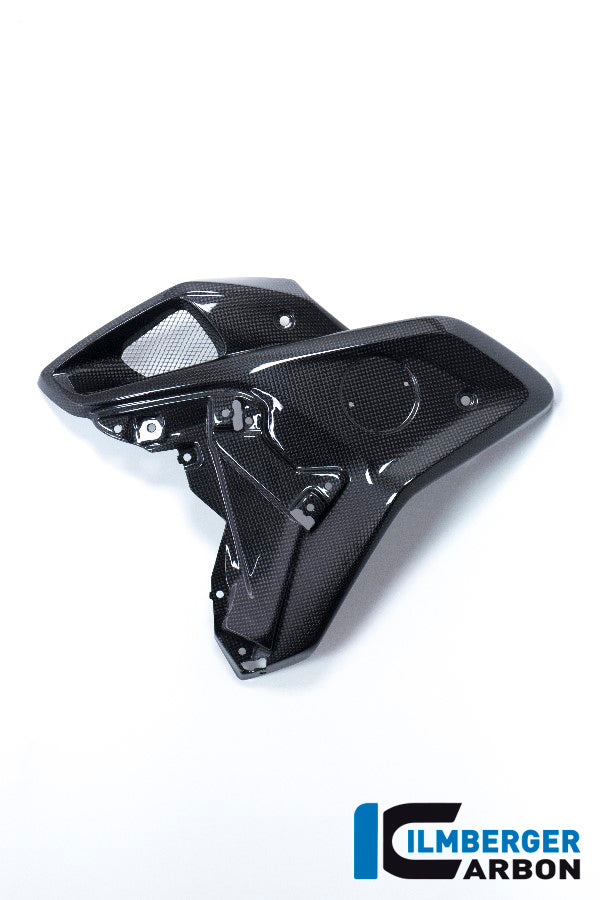 Airtube left side BMW R 1200 GS MY from 2017