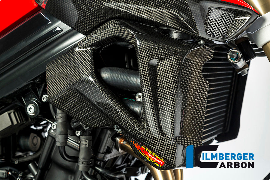Right radiator cover BMW F 800 R (ab 2015)