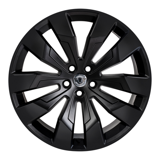 22" WX1 - 5x120 - ET25 - Satin Black - Rear (L663)