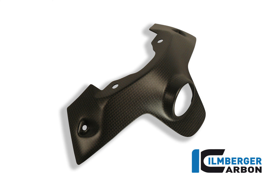Ignition swich cover Ducati Panigale 1299 (from 2015)