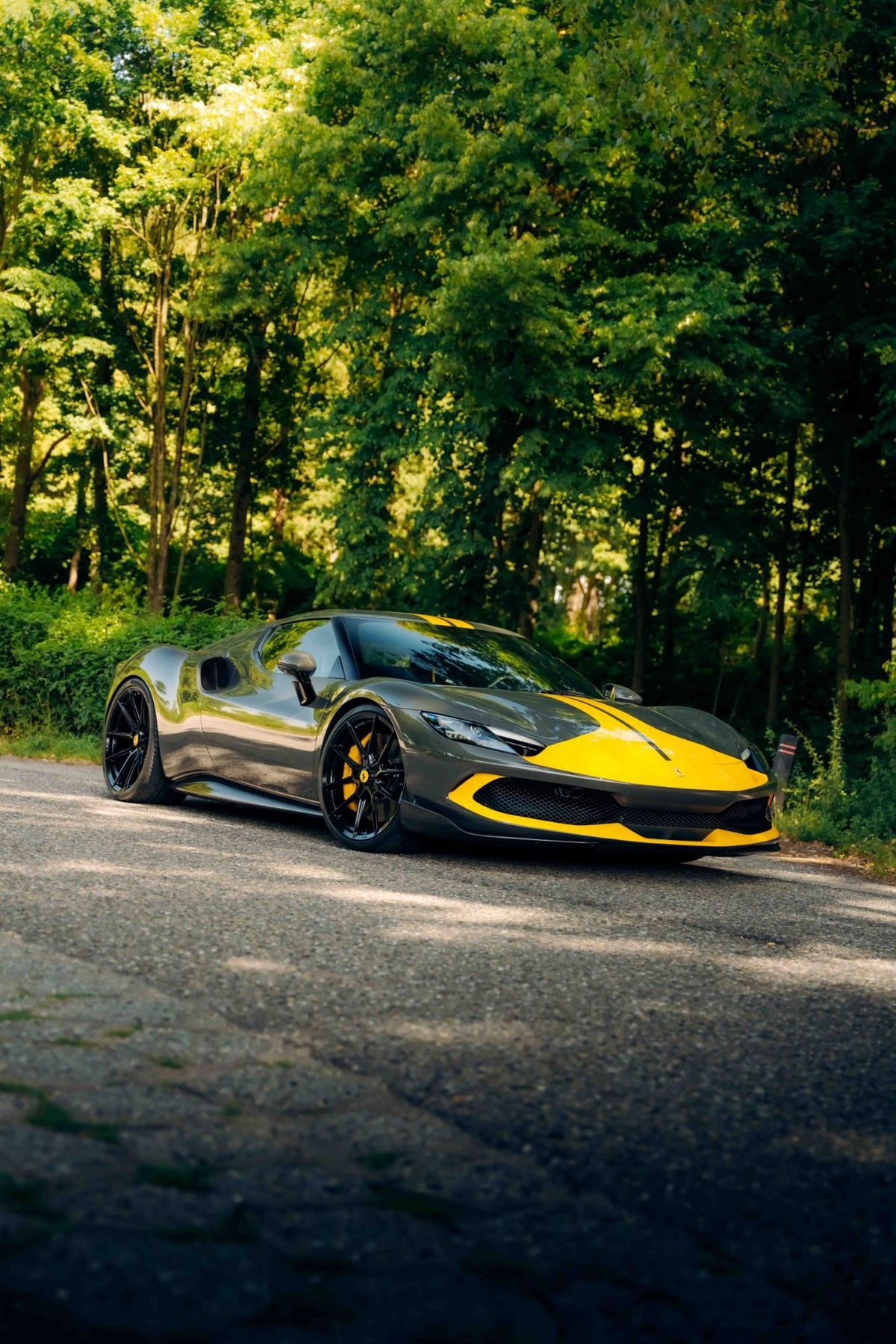 NOVITEC photo 1