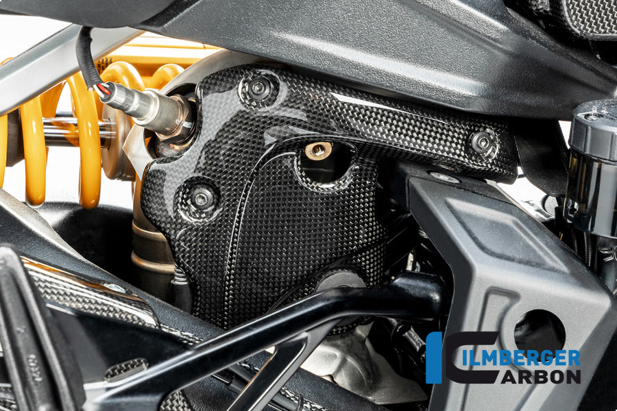 Exhaustprotection on the manifold Diavel 1260
